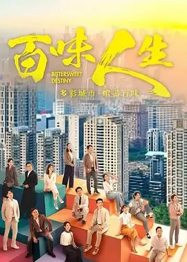 电视剧长夜将明海报