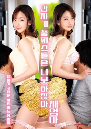 电视剧雾中来客海报